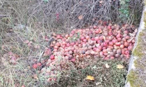 Incivilités, un fléau. Quelques Rappels.