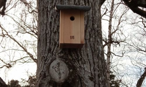 DES NICHOIRS A MESANGES DANS LA COMMUNE