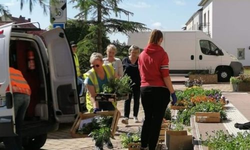 PLANTATION DE PRINTEMPS