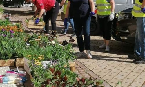 PLANTATION DE PRINTEMPS