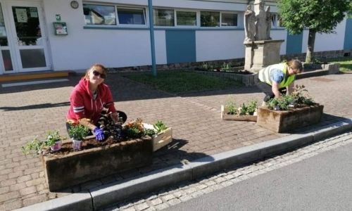 PLANTATION DE PRINTEMPS
