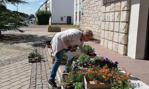 PLANTATION DE PRINTEMPS