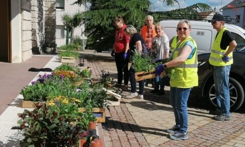 PLANTATION DE PRINTEMPS