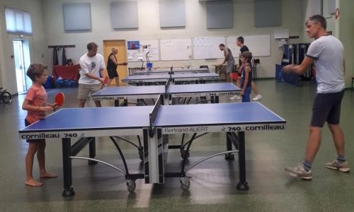 Fête annuelle du ping pong