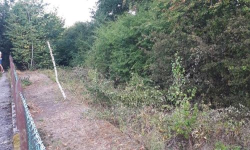 Débroussaillage et nettoyage du quai de l'ancienne gare Débroussaillage et nettoyage du quai de l'ancienne gare