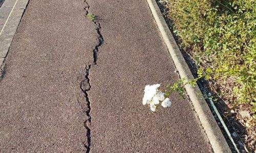 DEGATS DUS A LA SECHERESSE