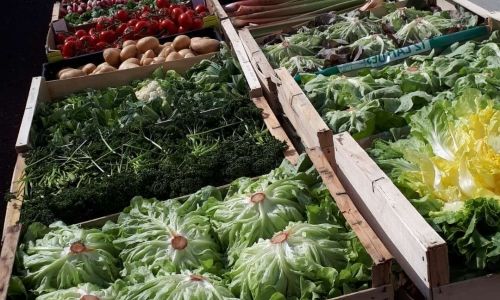 MARCHE FRUITS ET LÉGUMES