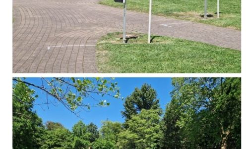 L'éducation routière à l'école