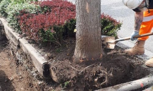 POURSUITE DES TRAVAUX RUE DE LA CROIX