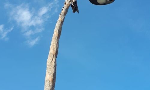 Les travaux rue de la Croix se poursuivent