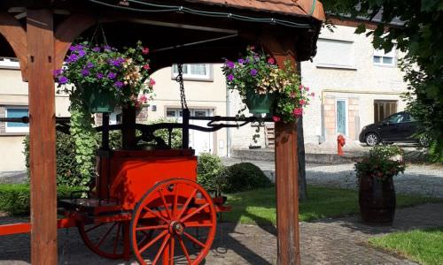 Plantations des fleurs d'été