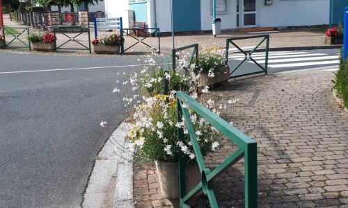 Plantations des fleurs d'été