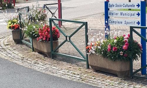 Plantations des fleurs d'été