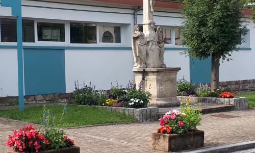 Plantations des fleurs d'été