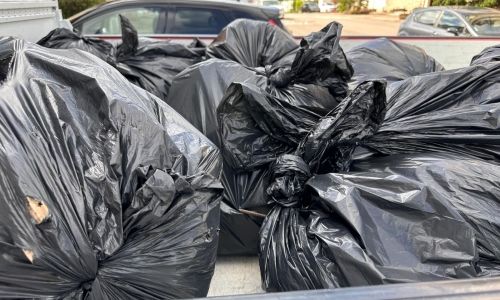 OPERATION VILLAGE PROPRE