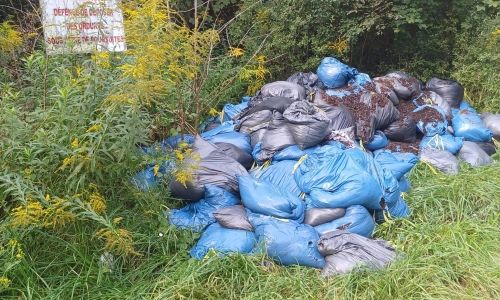 Incivilités encore et toujours