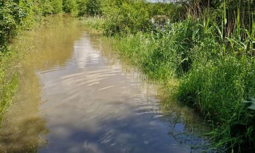 Mai : que d'eau ! Mai : que d'eau !