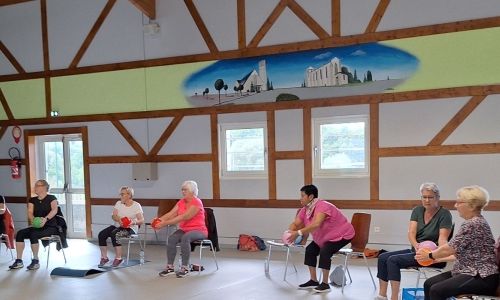 GYM DOUCE SUR CHAISE