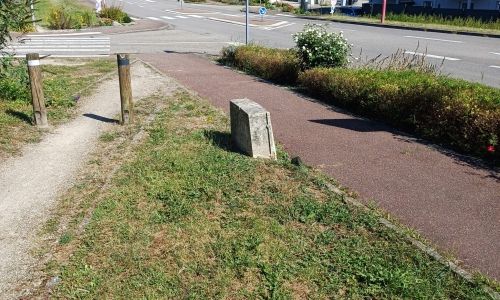 Distributeur de pizzas Distributeur de pizzas