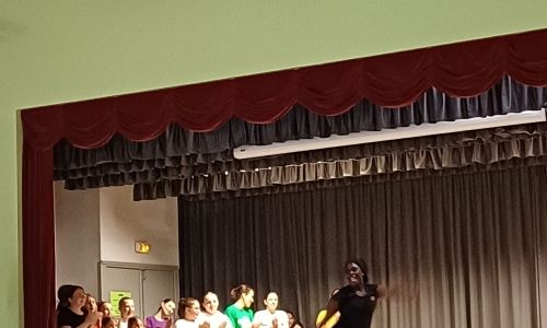 SPECTACLE DE DANSE