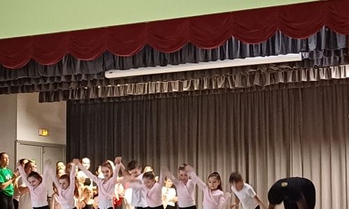SPECTACLE DE DANSE