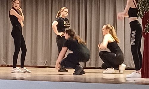 SPECTACLE DE DANSE