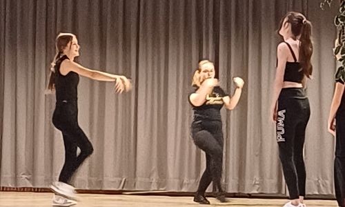 SPECTACLE DE DANSE