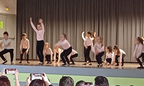 SPECTACLE DE DANSE