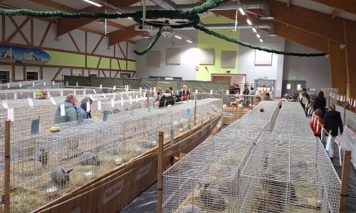 EXPOSITION AVICOLE EXPOSITION AVICOLE
