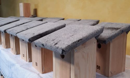 Nichoirs offerts pour la lutte contre les chenilles processionnaires