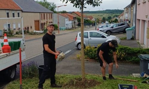 Nouvelle plantation Nouvelle plantation