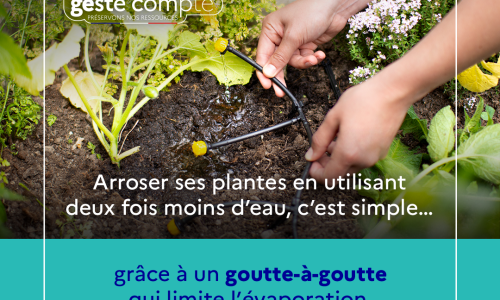 ALERTE SECHERESSE