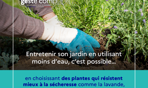 ALERTE SECHERESSE