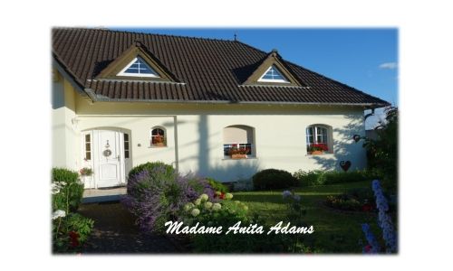 MAISONS FLEURIES & ILLUMINEES : LES LAUREATS
