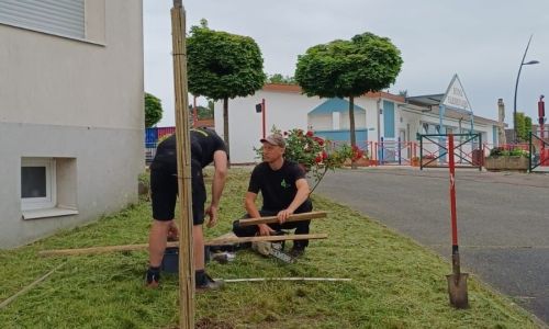 Nouvelle plantation