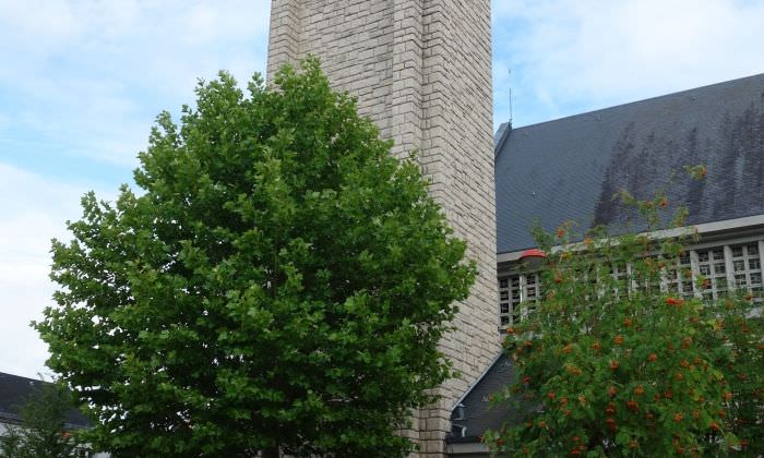 Cérémonie du 14 juillet 2020