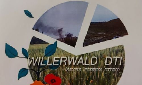 WILLERWALD DTI